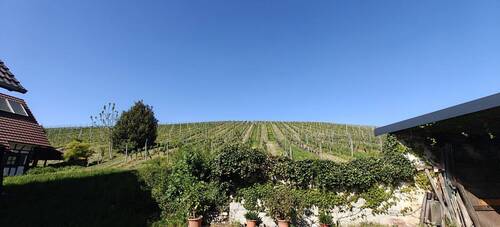 IMG20260429163644 - 