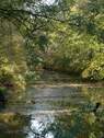 Naturnah - 
