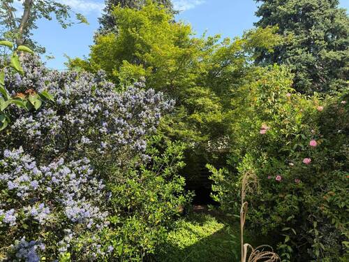 Blick in einen Teil des Gartens - 