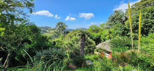 haus_kaufen_südafrika - 7 Zimmer Mehrfamilienhaus, Wohnhaus zum Kaufen in Kloof