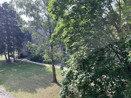 Ausblick vom Balkon - 