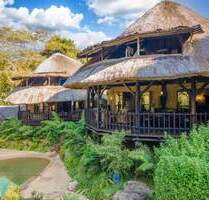 Reetdach Ambiente - Ihr frisch renovierter Traum von Afrika wird wahr! - Gillits