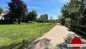 Hallerwiese! - 