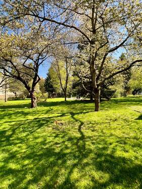 Park - 