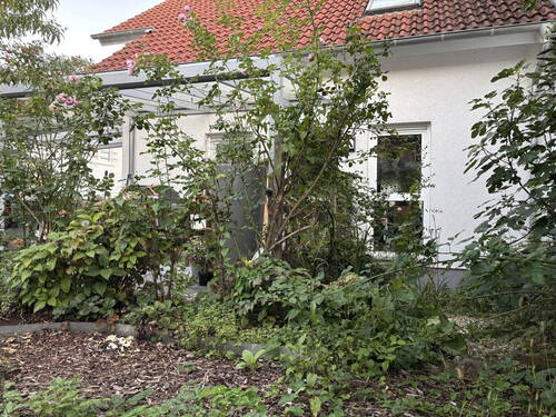 Bild 13 - 