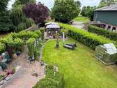 Blick in den Garten - 