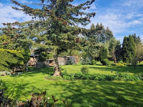 Garten - 2 Zimmer Etagenwohnung in Oelsnitz/Erzgebirge