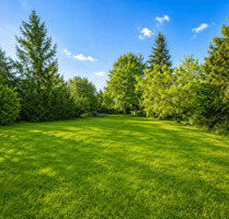 Genehmigtes Baugrundstück in Thyrow | 984 m² | 2 DHH - Trebbin