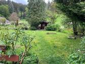 Freifläche hinter dem Haus.JPEG - 