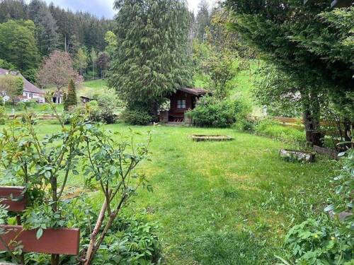 Freifläche hinter dem Haus.JPEG - 