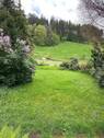 Wiesenfläche - 