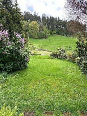 Wiesenfläche - 