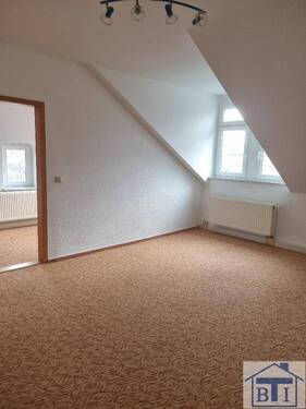 Zimmer DG - 