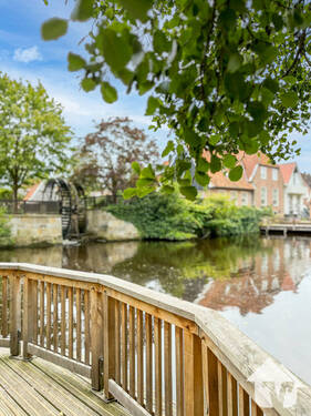 Neuenhaus - 