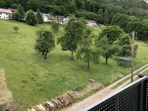 Bild 2 - 4 Zimmer Etagenwohnung zum Kaufen in Calw