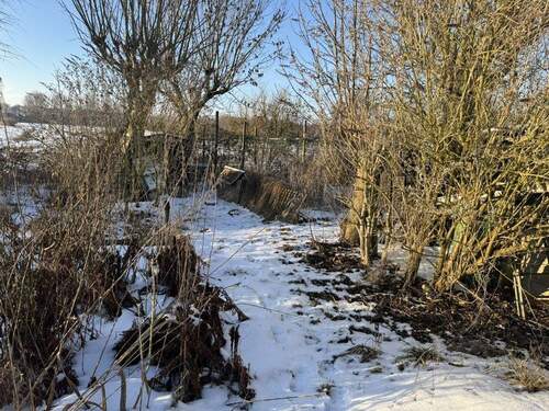 Blick in den Garten - 