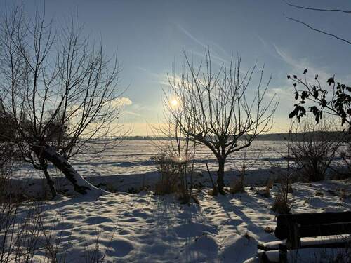 Blick in den Garten - 