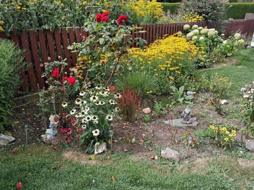 Garten - 