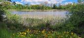 Badesee - 