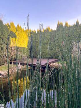 Garten - 1 Zimmer Einfamilienhaus zum Kaufen in Boppard