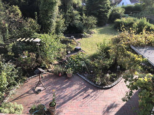 Blick auf die Terrasse - Einfamilienhaus mit 150,00 m² in Oldenburg zum Kaufen
