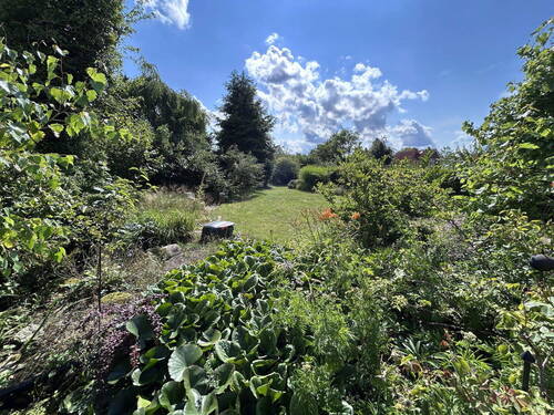 Blick in den großen Garten - 