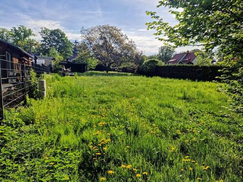 WhatsApp Bild 2025-05-07 um 18.26.20_7fed599c.jpg - Grundstück in Schöneiche bei Berlin