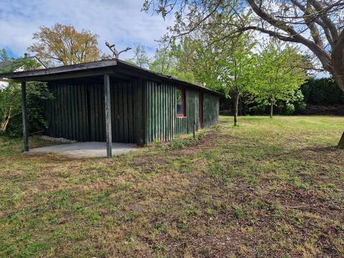 WhatsApp Bild 2024-08-06 um 13.59.33_2765ae5e.jpg - 