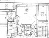Grundriss WE37 - 