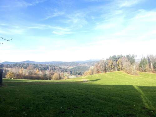 20251113_132838312_iOS.jpg - 