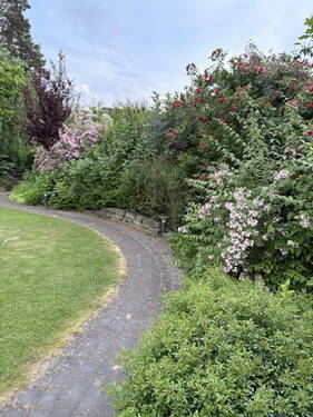 Weg in den hinteren Garten - 
