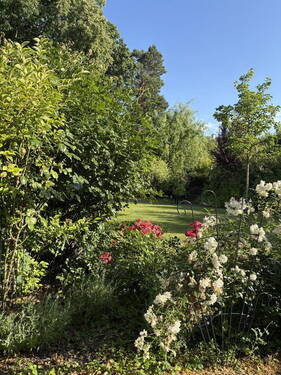 Gartenbepflanzung - 
