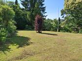 Garten .jpg - 