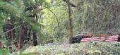 Waldgarten - 