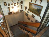Treppe zum Keller - 