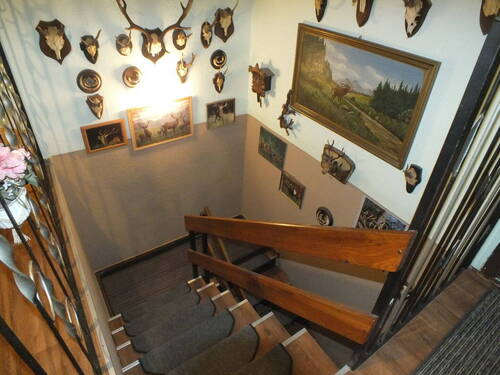 Treppe zum Keller - 