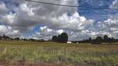 Fernblick - 