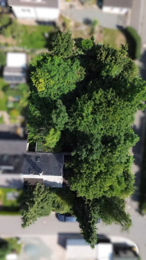 Grundstück - Grundstück zum Kaufen in Reinsdorf