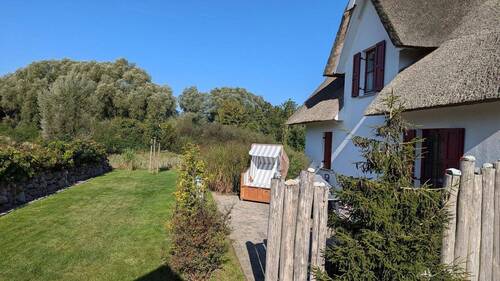 Blick in den Garten - 