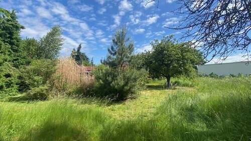 Grundstück - Bungalow mit 73,00 m² in Leipzig zum Kaufen