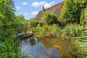 Teich - 