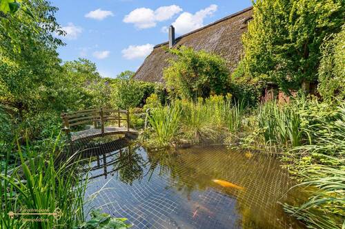 Teich - 