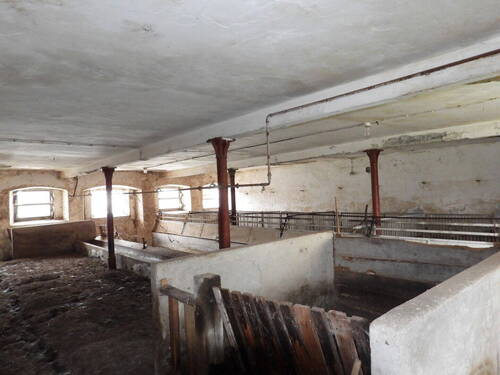 Stall im Stallflügel - 