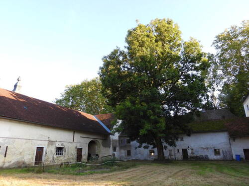 Stallflügel - Verbindungsbau - Mehrfamilienhaus, Wohnhaus mit 104,00 m&sup2; in Neuhaus am Inn zum Kaufen