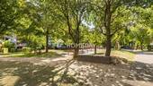 Garten 1 - 