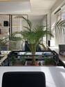 Bild 18 - 