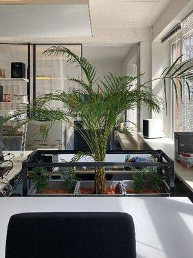Bild 18 - 