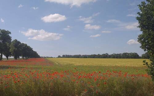 Umgebung - Grundstück in Fehrbellin