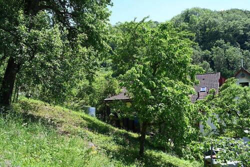 Garten - 
