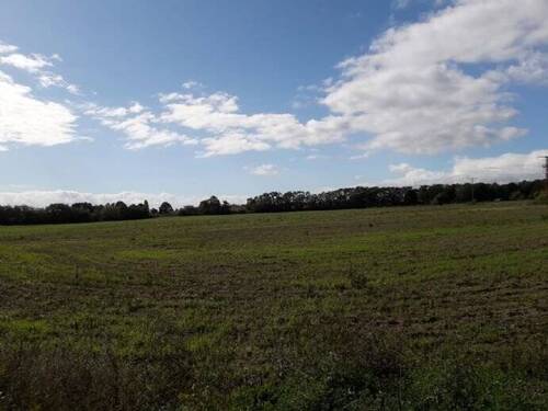 Bild 1 - Grundstück in Rheinsberg